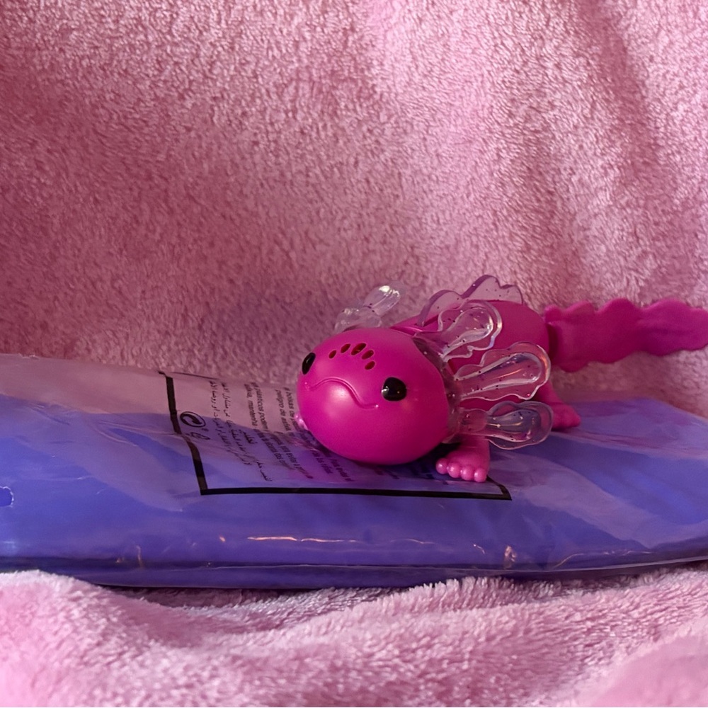 Fingerlings baby axolotl + pool